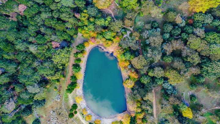 Aerial view of two large cooling towers emitting steam, surrounded by lush greenery and a winding road, near a tranquil blue lake.