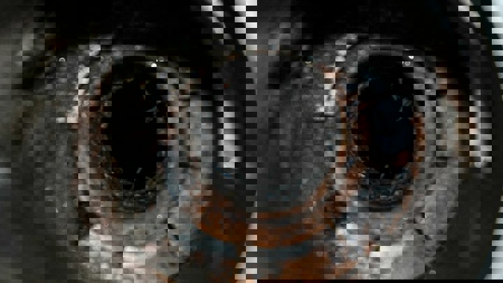 Close up view of corroded metal pipe interior with heavy rust and buildup.