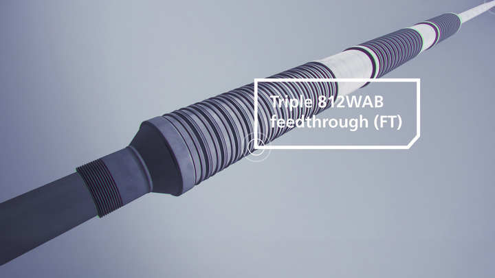 3D illustration of triple 812WAB feedthrough packers used for zonal isolation and monitoring in a well completion.